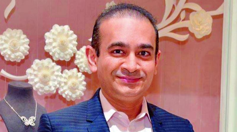 Nirav Modi