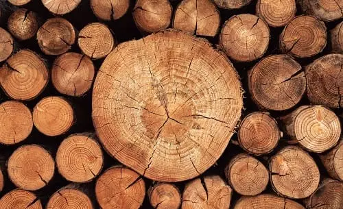 Honne Wood Vs Teak Wood