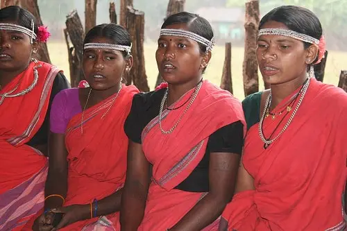 Traditional Dress of Chhattisgarh for women