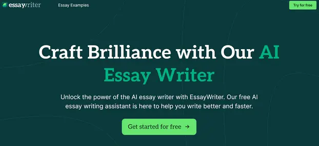 EssayWriter